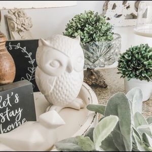 White Ceramic Owl 🦉